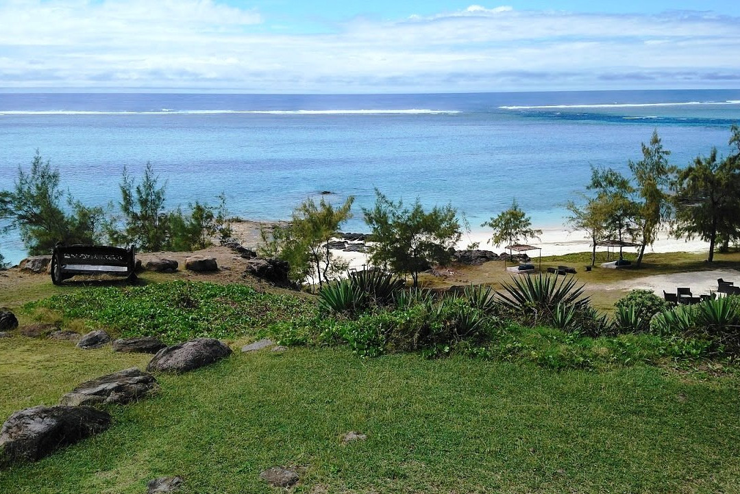 Constance Tekoma主图