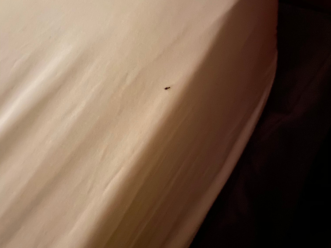 Super 8 by Wyndham Lancaster主图