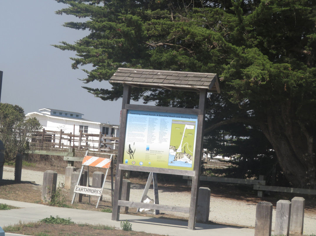 Cowell Ranch State Beach景点图片