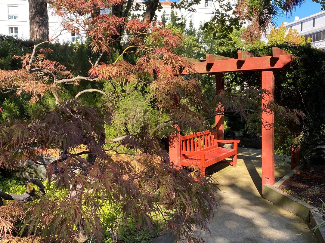 Jardin Botanique景点图片