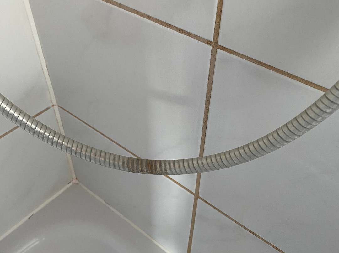 Zur Grunen Kutte主图