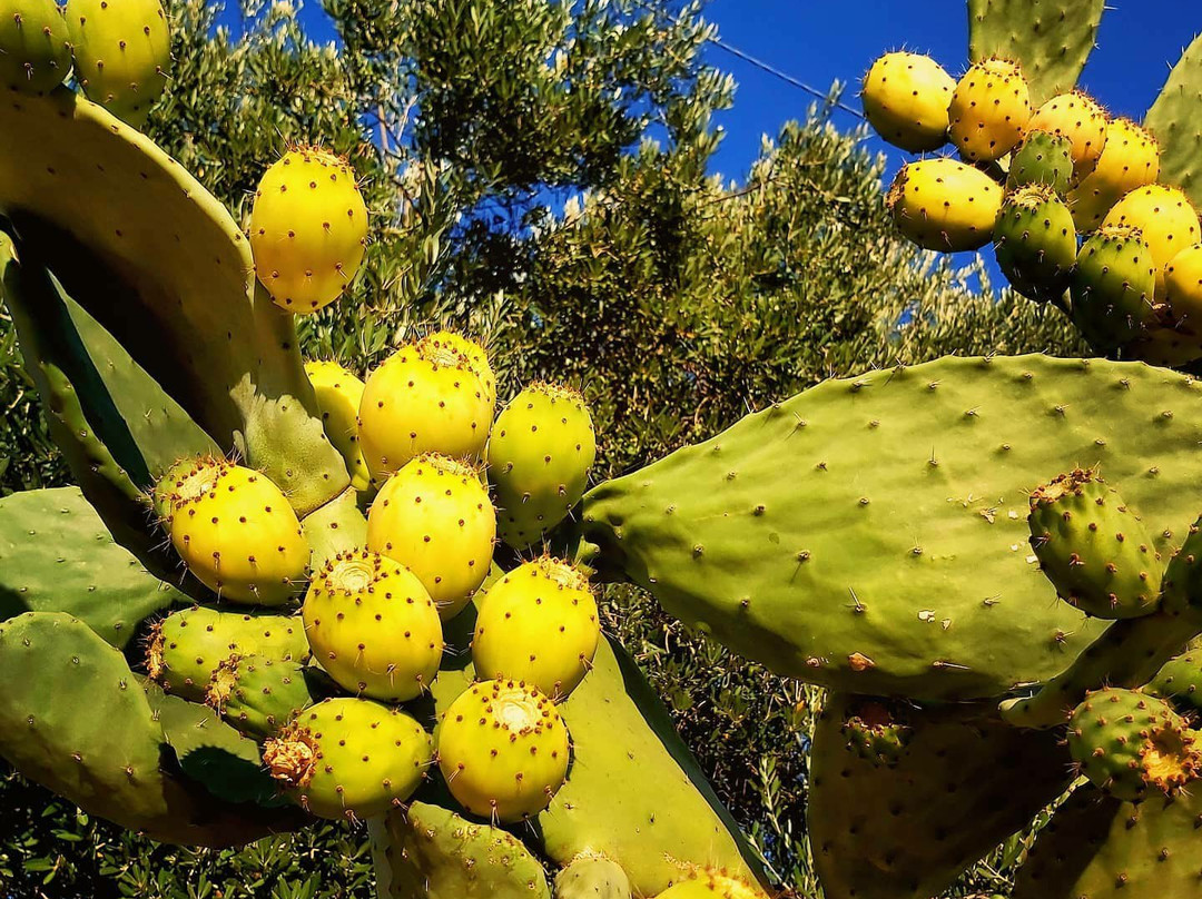 Villa Fumarola主图