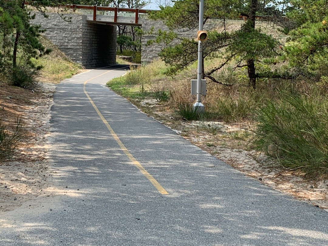 Province Lands Bike Trail景点图片