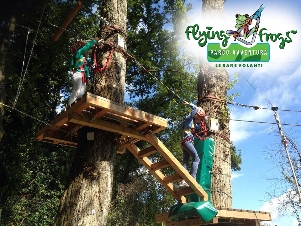 Parco Avventura "Flying Frogs"景点图片
