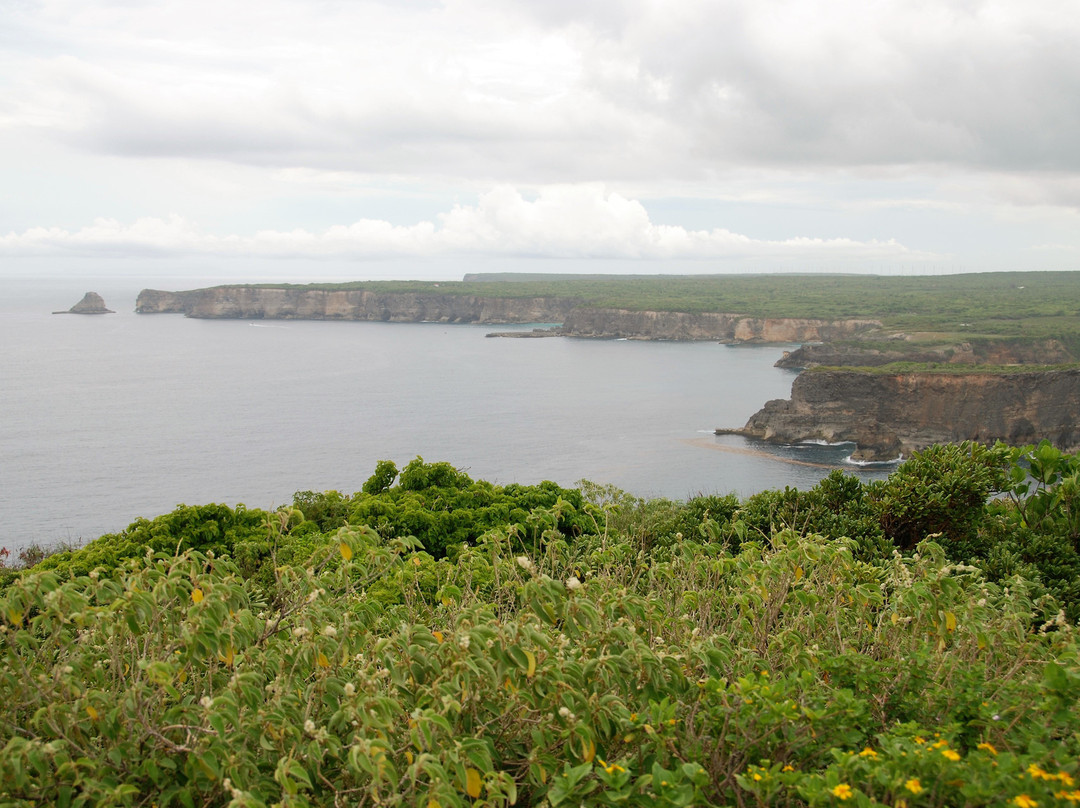 Pointe de la Grande Vigie-Anse-Bertrand必去景点