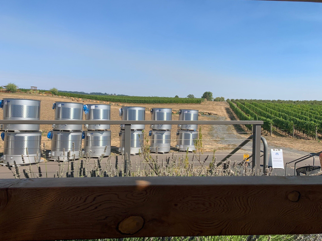 Adelsheim Vineyard景点图片