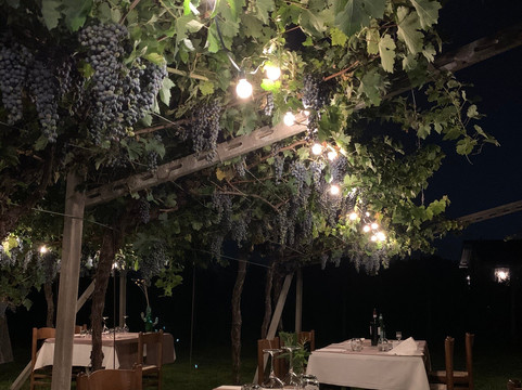 Ristorante Trattoria Arizona