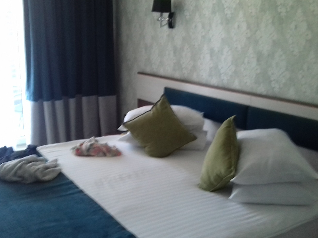 Splendid Conference & Spa Hotel主图