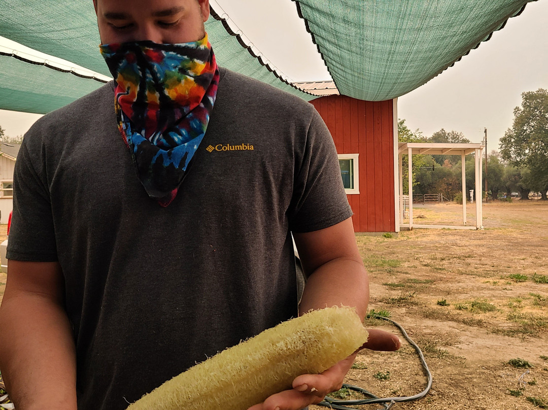 MoonBeam Farm-Corning必去景点