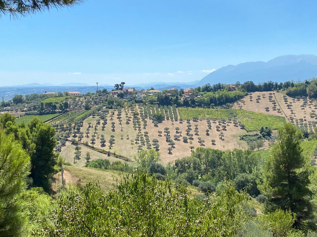 Villa Perenich主图