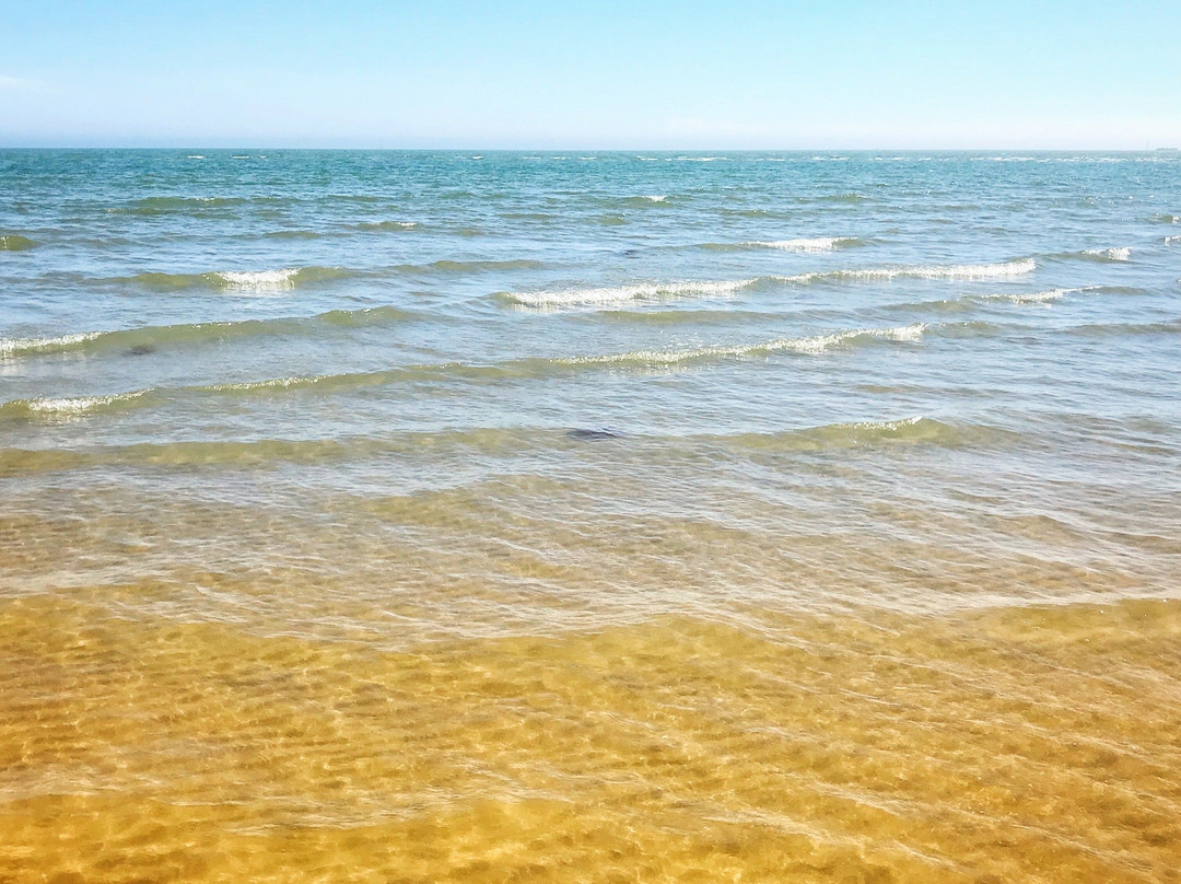 East Wittering Beach景点图片