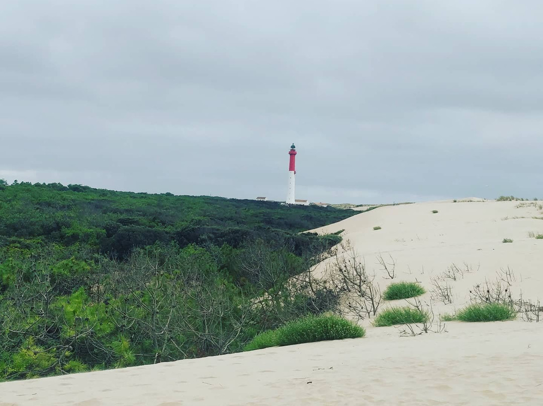 Plage de la Coubre景点图片