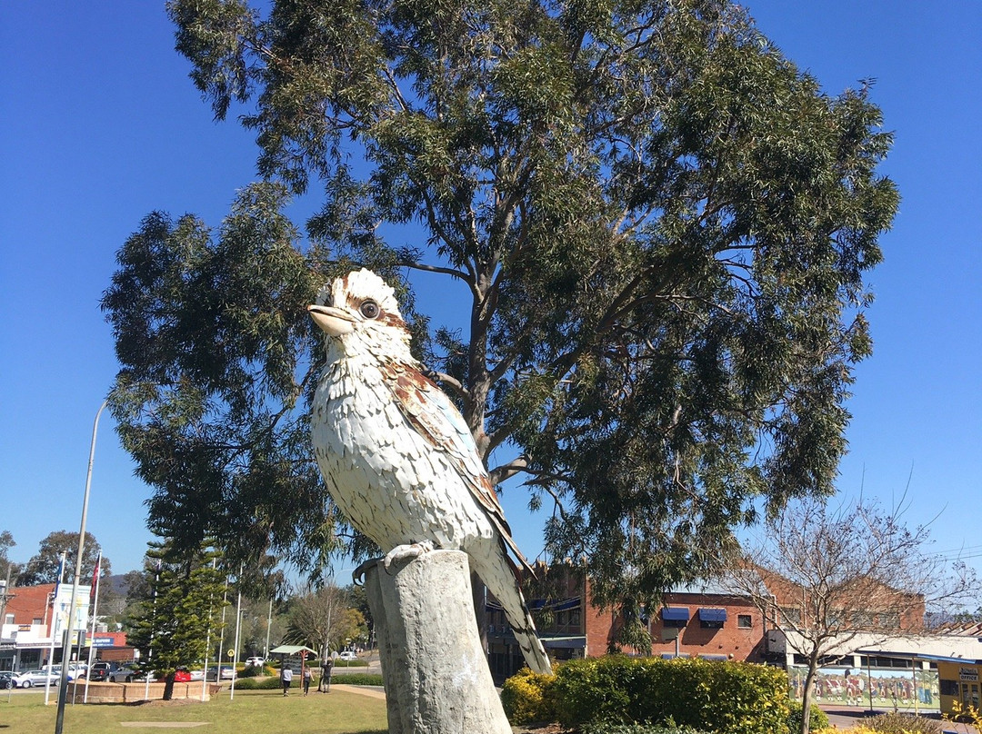 Big Kookaburra景点图片