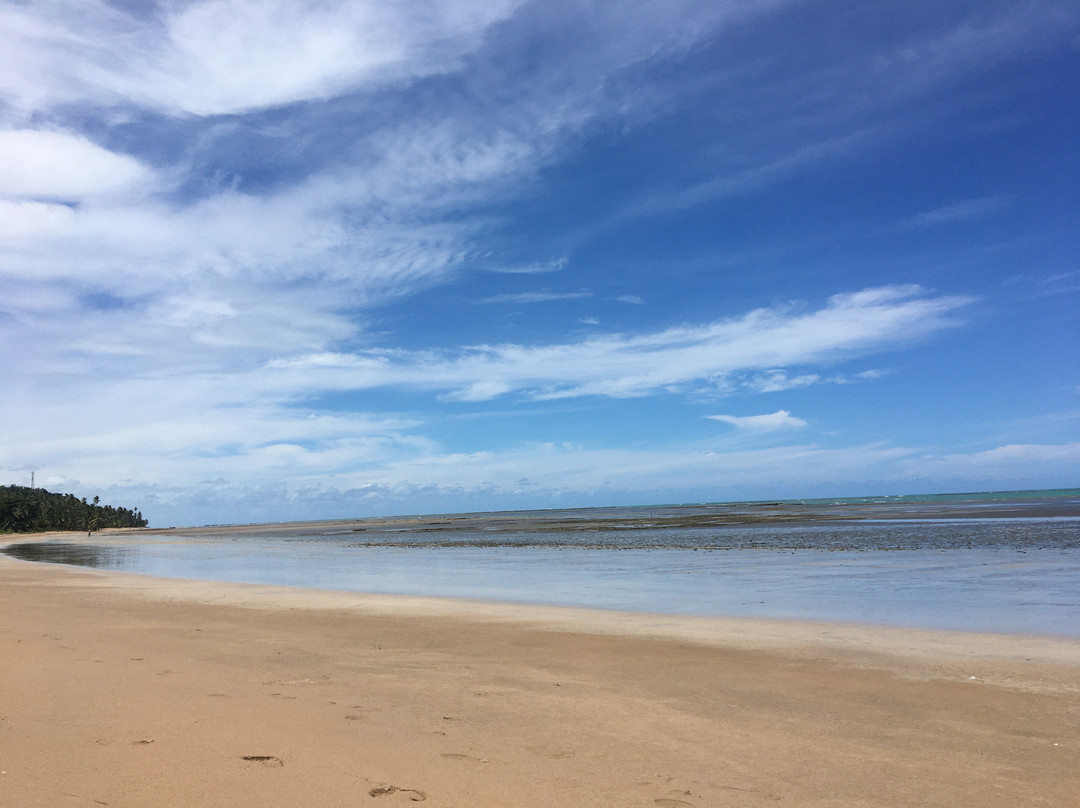 Bitingui Beach-Japaratinga必去景点