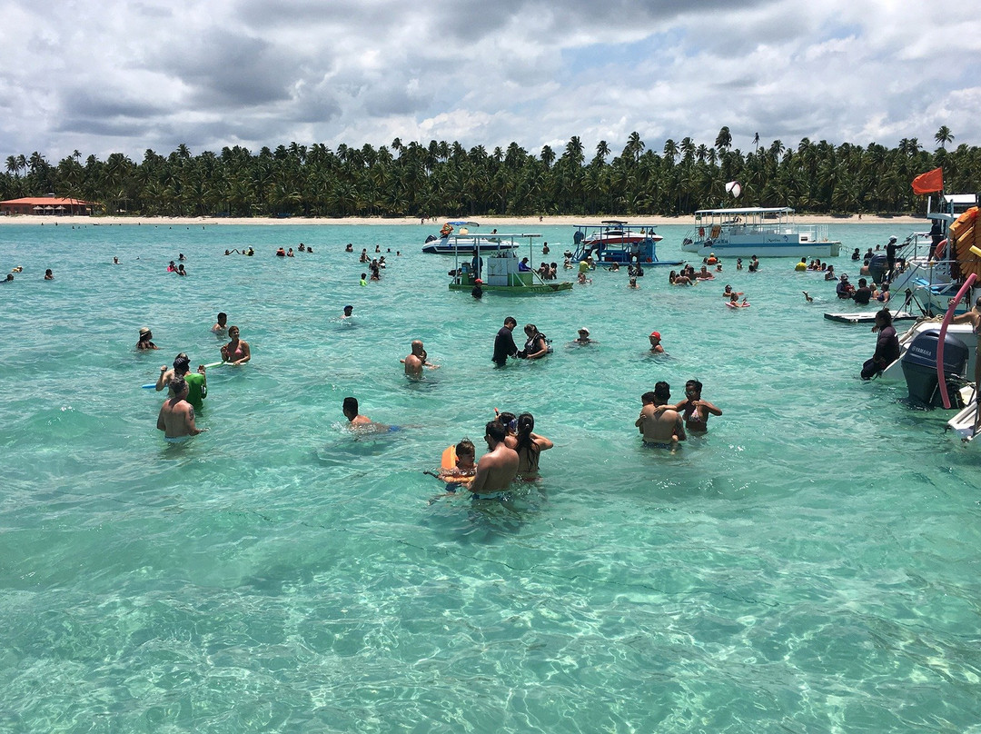 Gray Line Brazil-Maceio必去景点