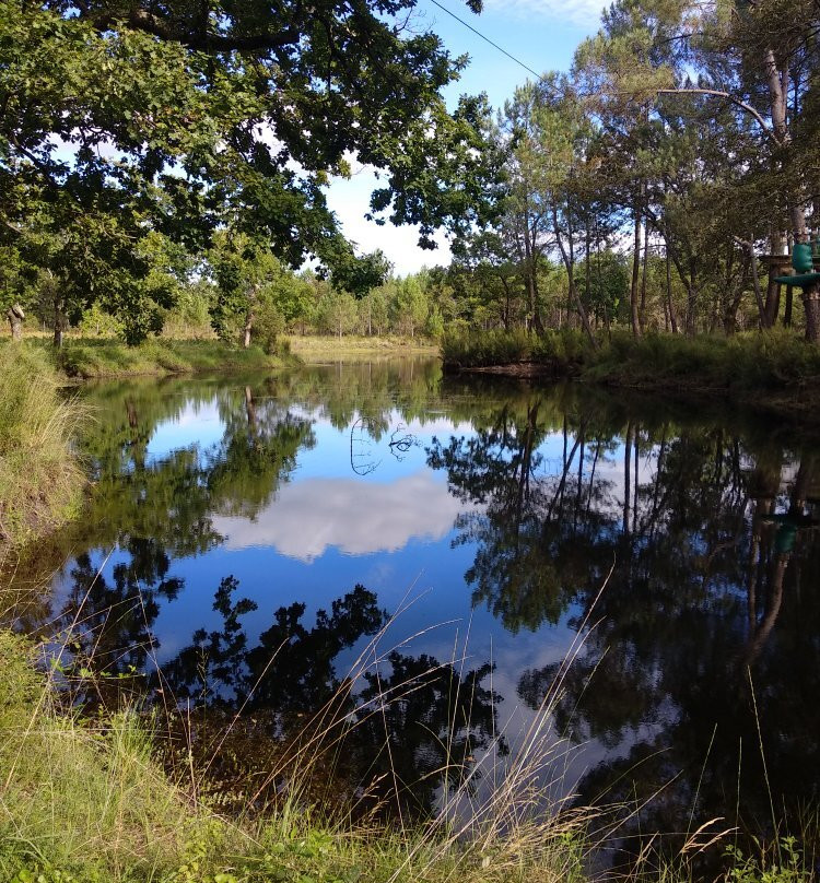 Animalia Parc-Naujac-sur-Mer必去景点