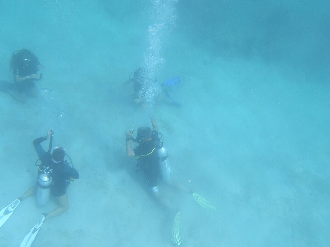 Kariba Plongee-圣吕斯必去景点