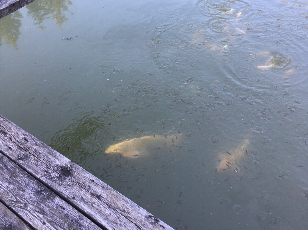 Koch Haus Bed and Breakfast主图