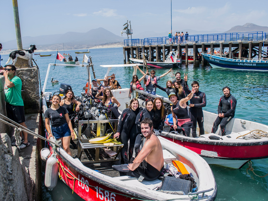 Buceo Pichidangui Dive Center-Pichidangui必去景点