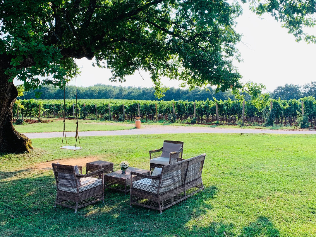 Meneghetti Wine Hotel & Winery主图