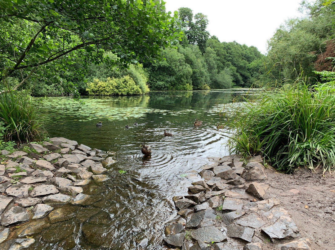 Himley Hall and Park景点图片