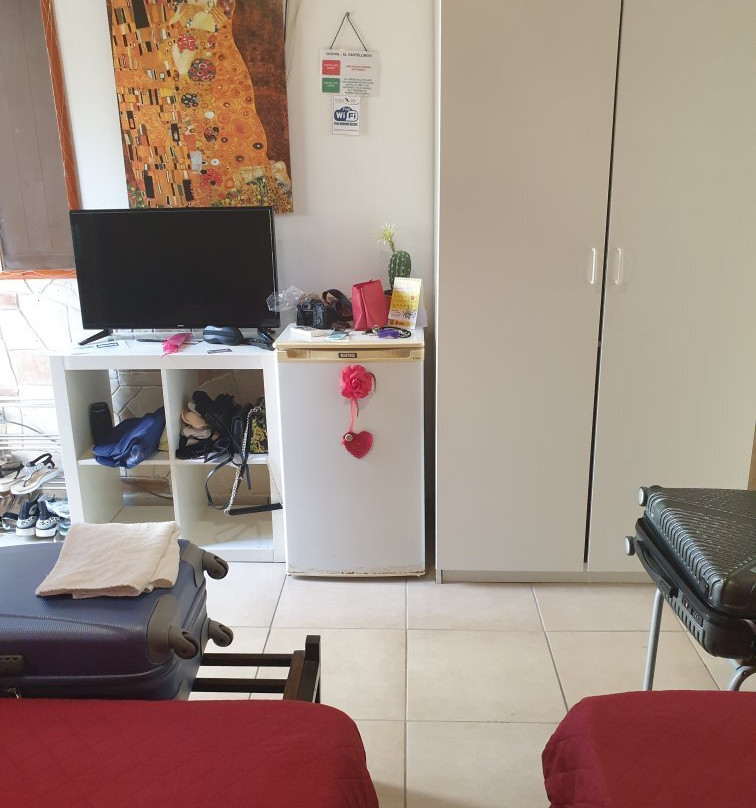 La Gazza Ladra主图