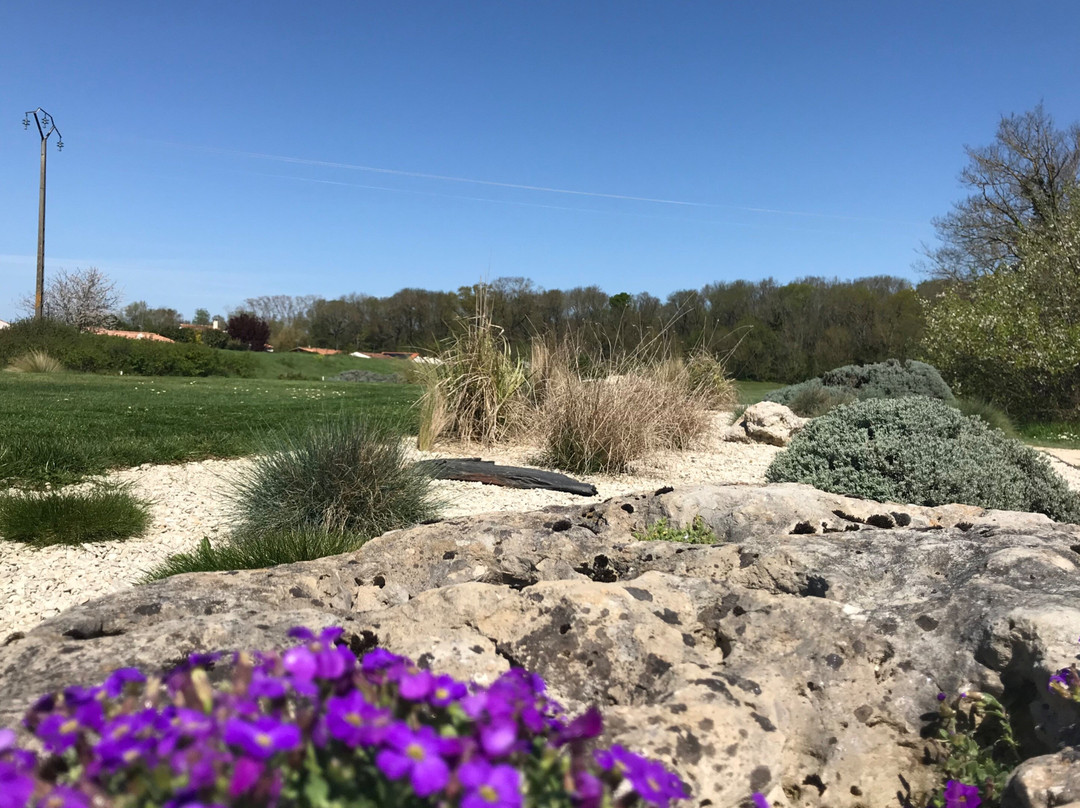 Golf La Rochelle Sud景点图片