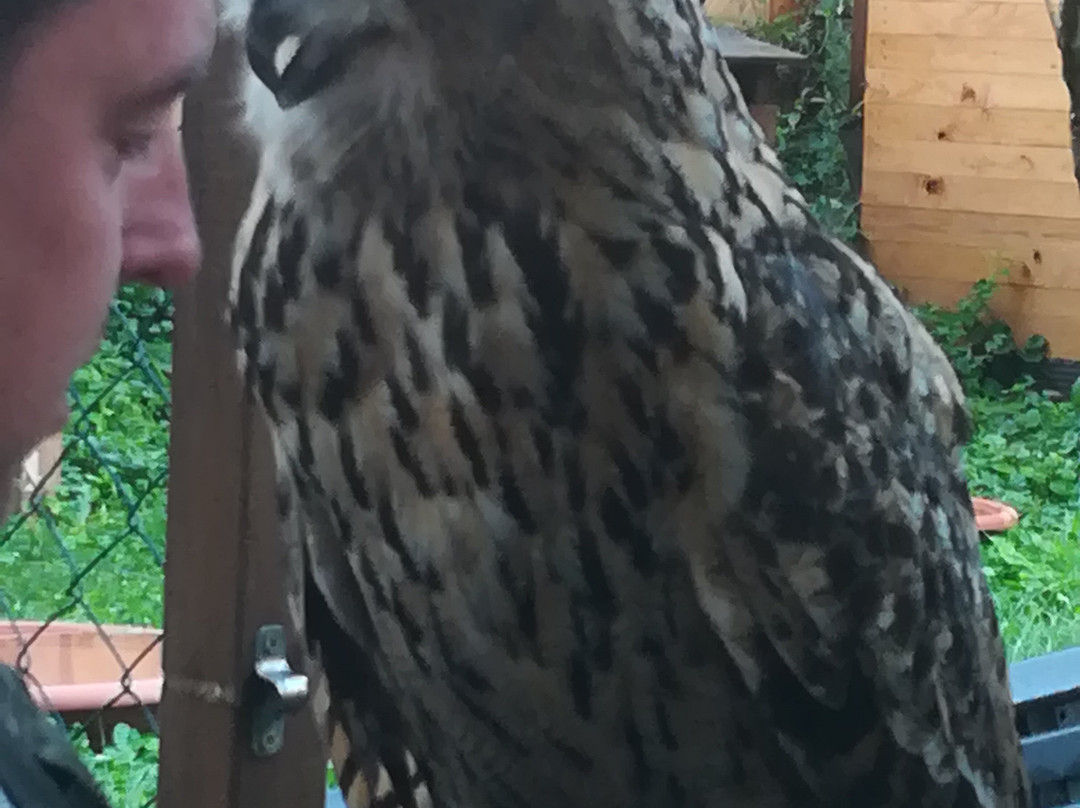 skyhunters in nature -frechen-Frechen必去景点