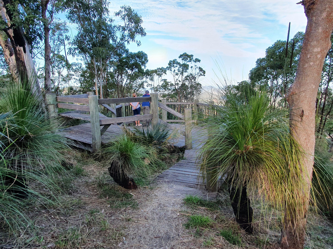 Grasstree Lookout-罗克汉普顿必去景点