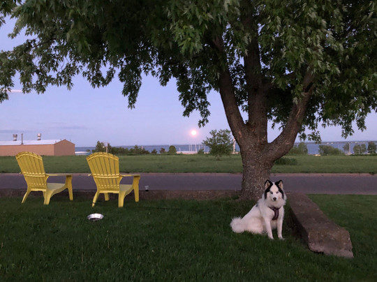 North Coast Inn & Chalets主图