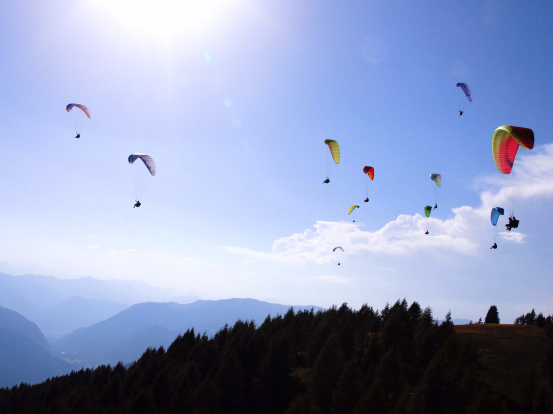 Gerlitzen Tandem Paragliding景点图片
