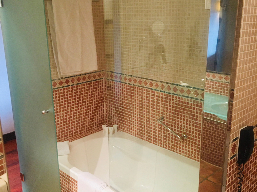 圣安娜帕拉西奥万豪AC酒店主图