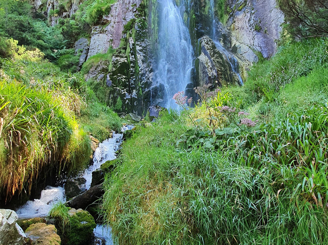 Ruta de la Cascada del Tabayon del Mongayu景点图片