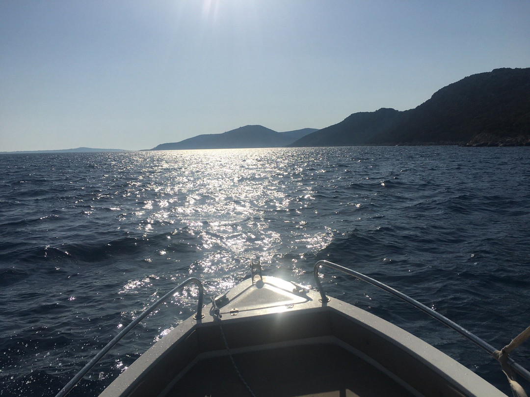 Rent a boat Pika景点图片