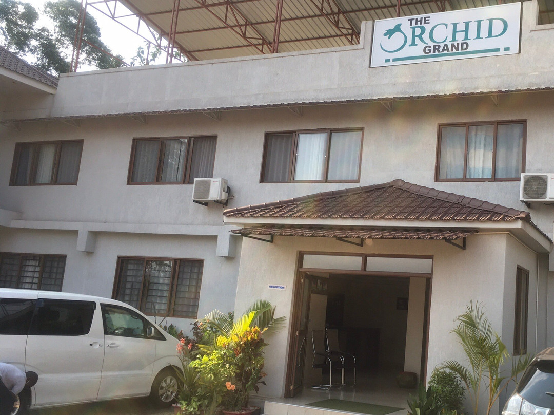 The Orchid Grand主图
