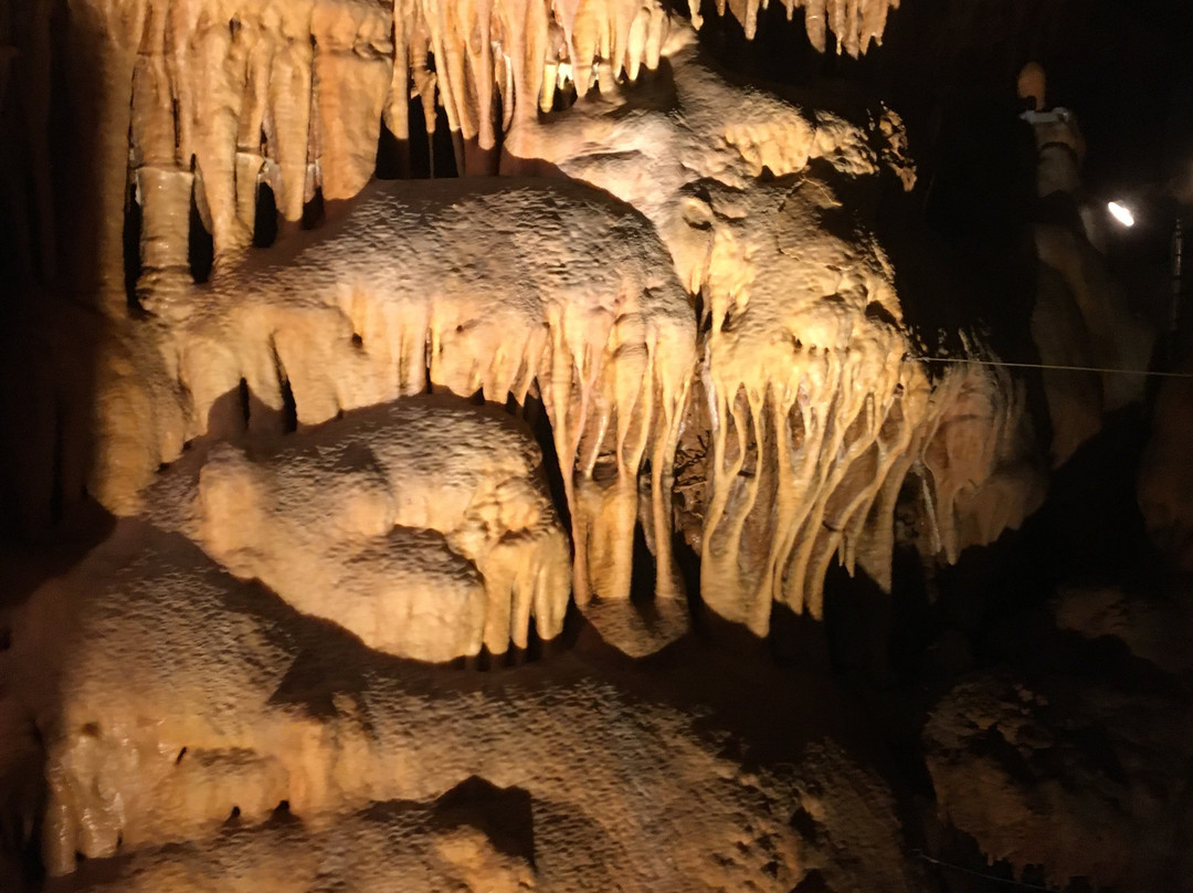 Grotte du Bosc景点图片