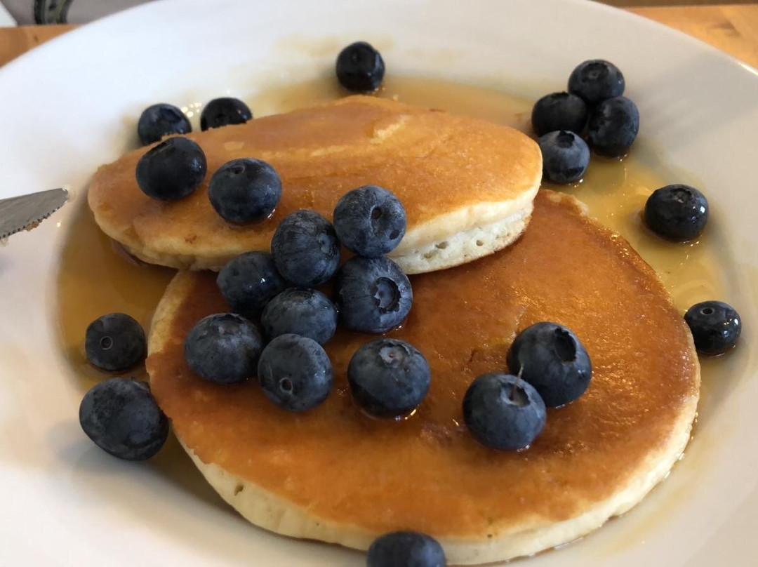 Websters Bed and Breakfast主图