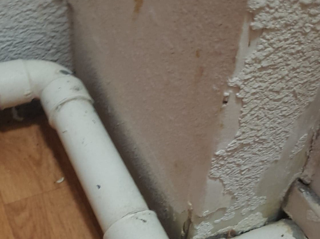 Residence Odalys Les Lumieres de Neige主图