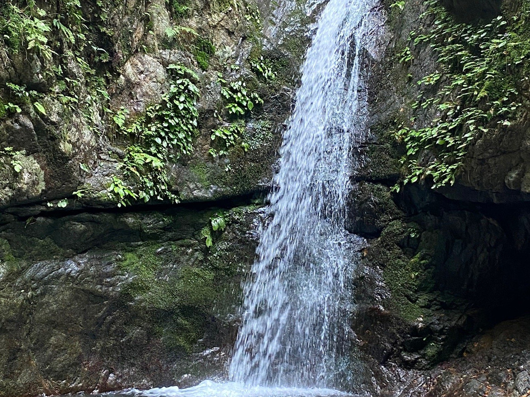 Rock Garden-青梅市必去景点