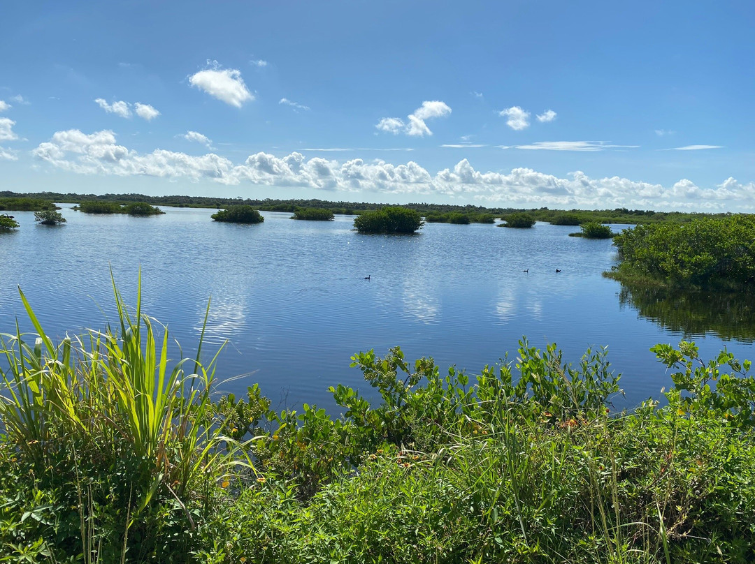 Merritt Island National Wildlife Refuge-Merritt Island必去景点