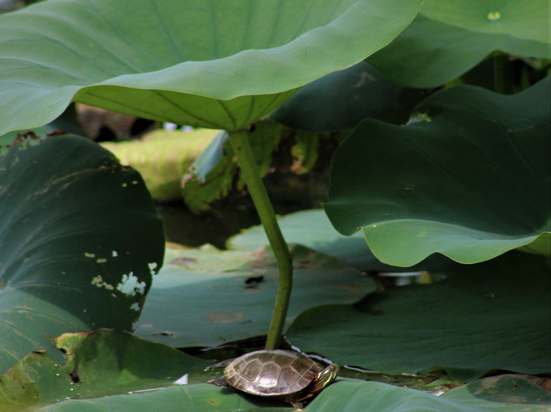 Adams Lake State Park-West Union必去景点