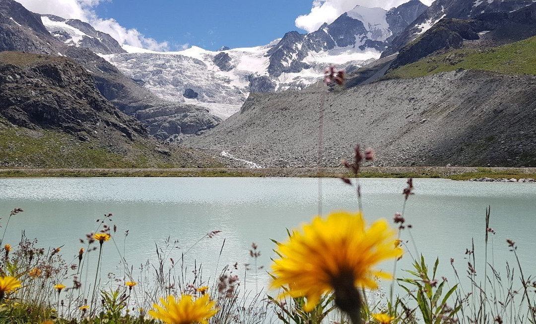 Moiry Glacier景点图片