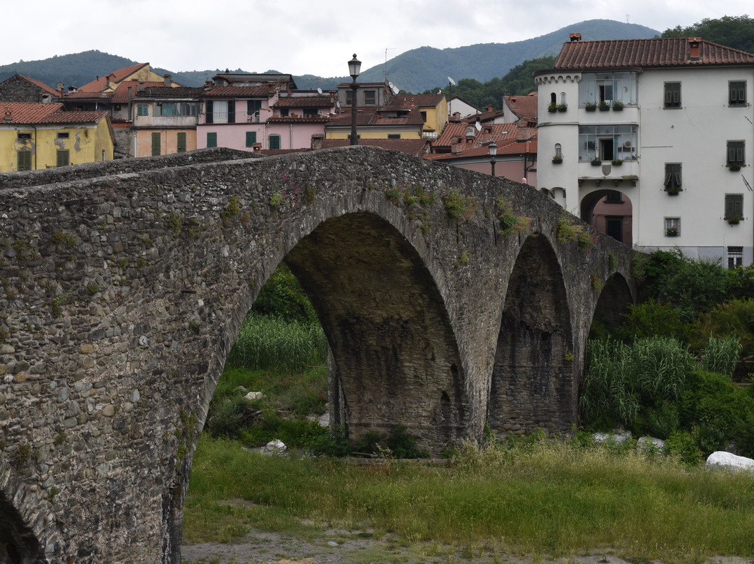 Ponte della Cresa景点图片