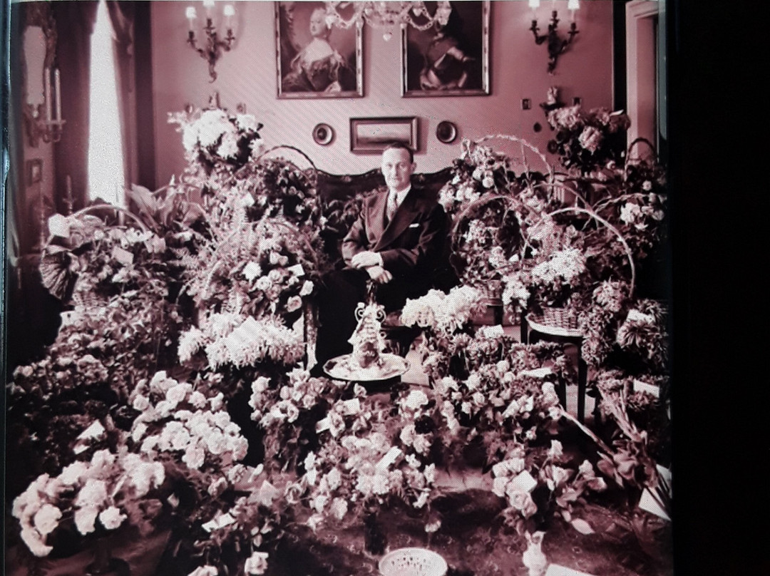 Museum ERNST