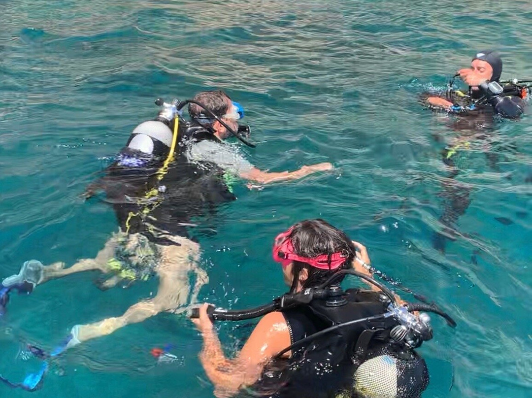 ASD Zingaro Diving Center-戈尔福海堡必去景点