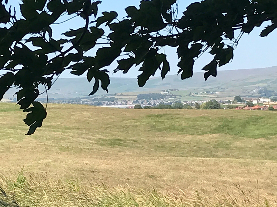 Tandle Hill Country Park景点图片