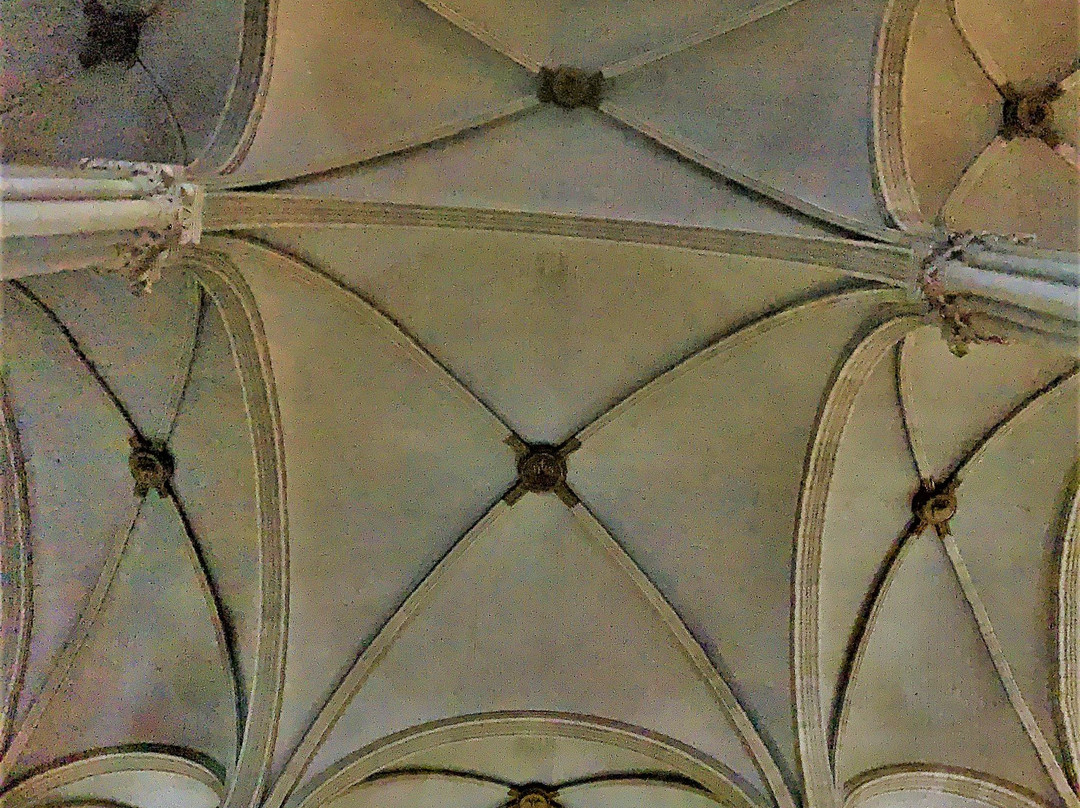 Basilique Saint Louis Marie Grignion de Montfort景点图片