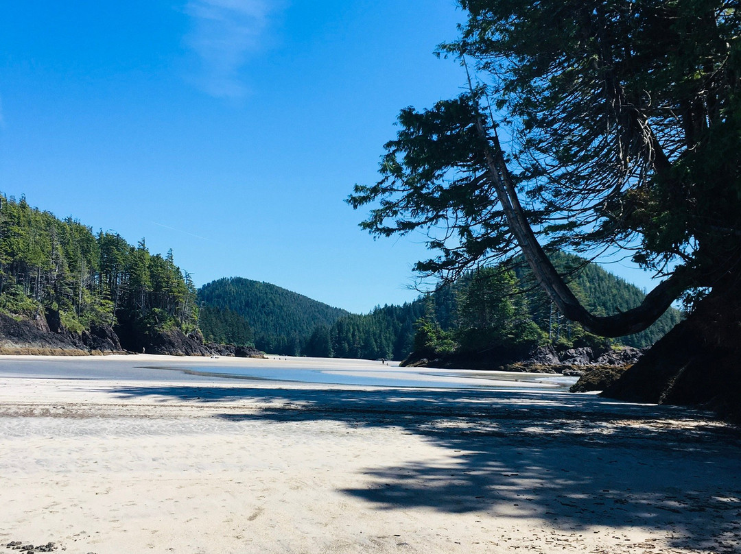 Cape Scott Provincial Park景点图片