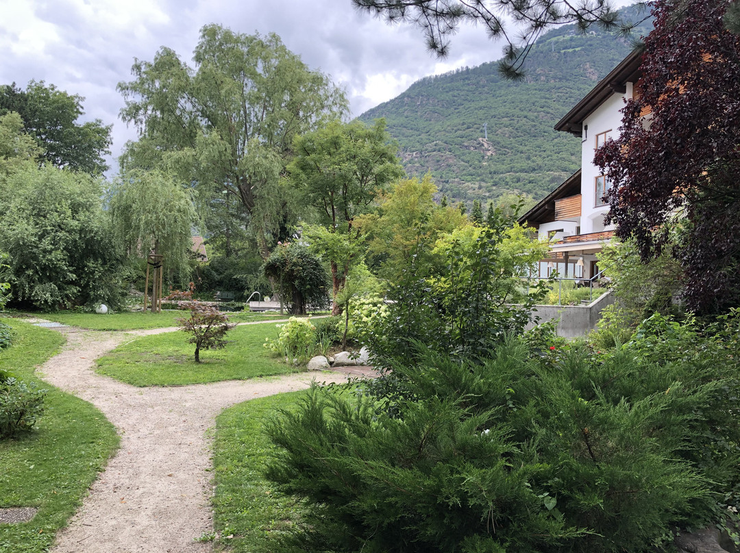 LA VIMEA Vegan Hotel主图