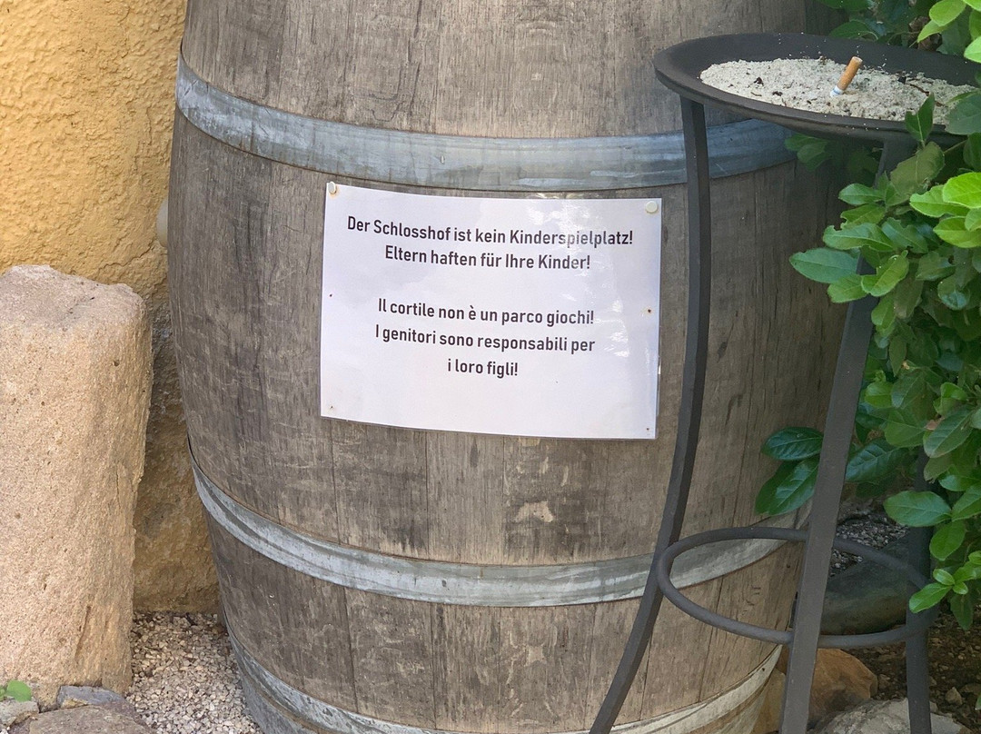Weingut / Vinothek Castel Sallegg景点图片